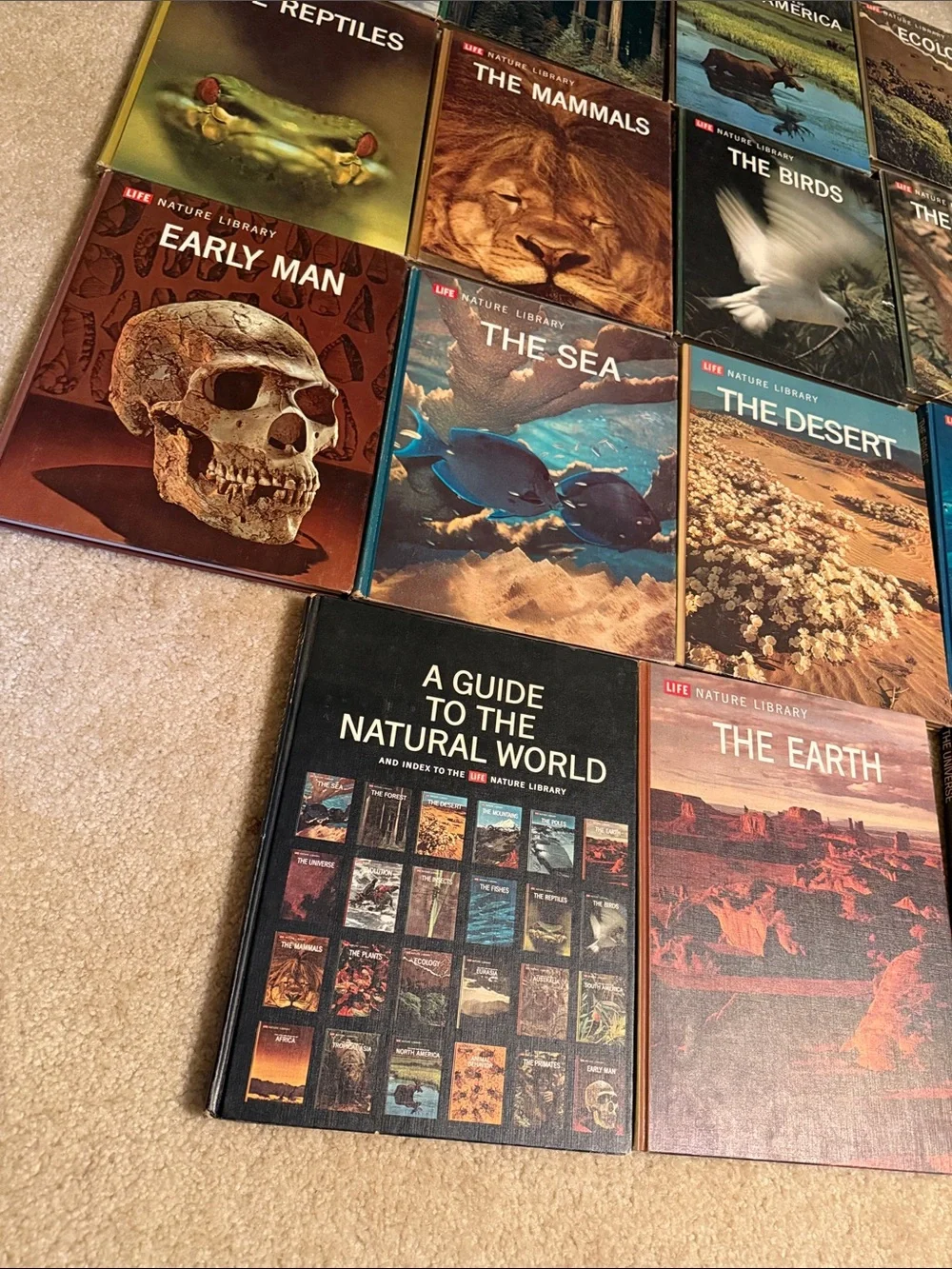 A Guide To Thr Natural World 18 books 📕